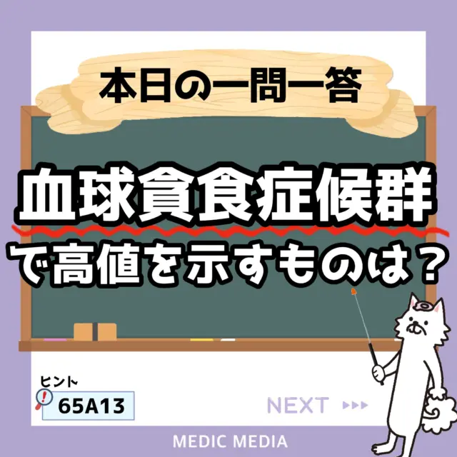 臨床検査技師になろう！｜国家試験対策に役立つ情報をお届け